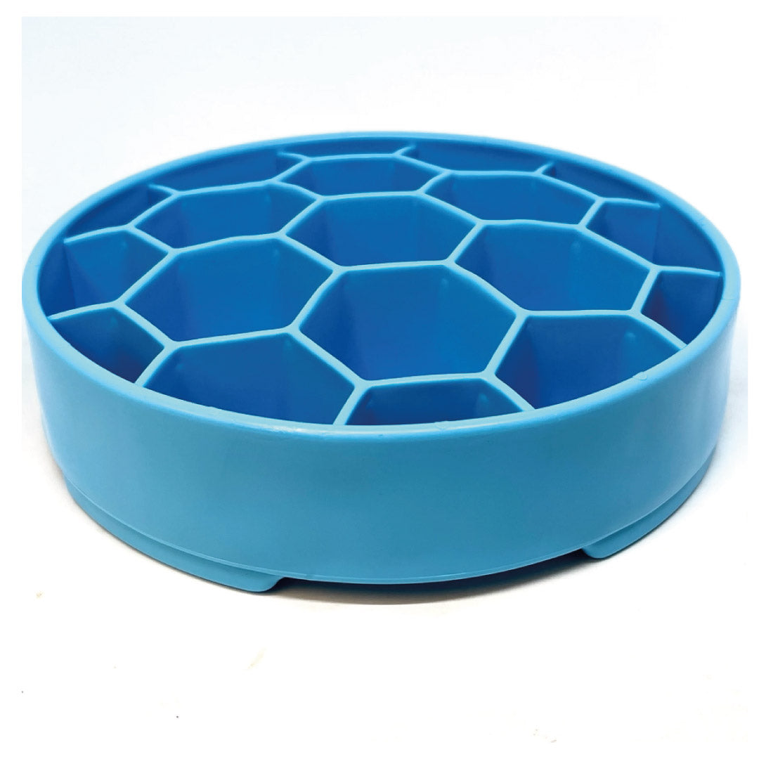Sodapup Ebowl Honeycomb Blue