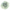 Probiotica & Spijsvertering