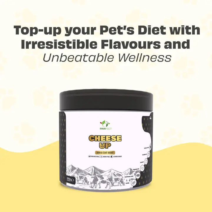 Pawfect Topper Cheese up! - maaltijdtopper van yakkaas