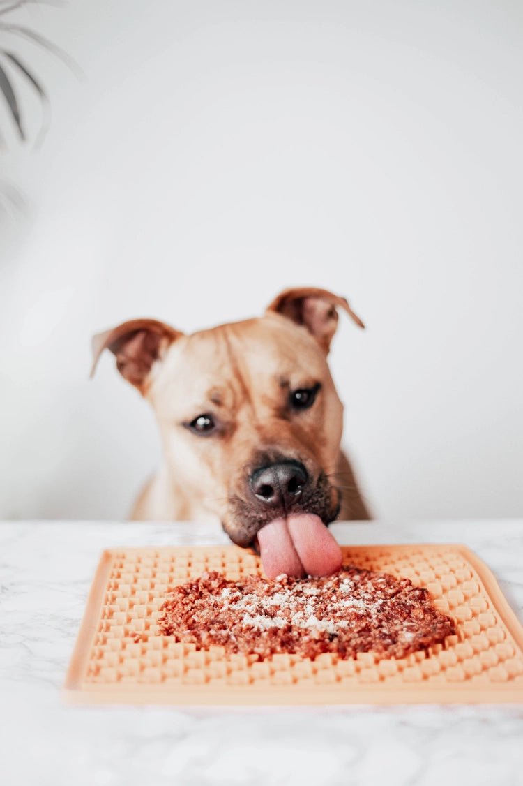 M. Foie de bœuf Bones Topper