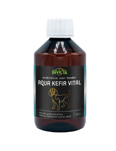 Invicta Aqua Kéfir Vital (250 ml)