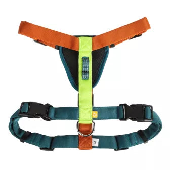 Woolly Wolf Harness Color Block Lime