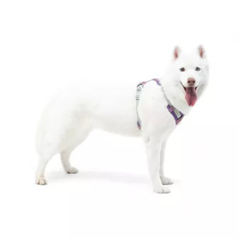 Woolly Wolf Alpha 360 Harness Mauve Mix