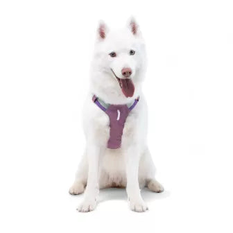 Woolly Wolf Alpha 360 Harness Mauve Mix