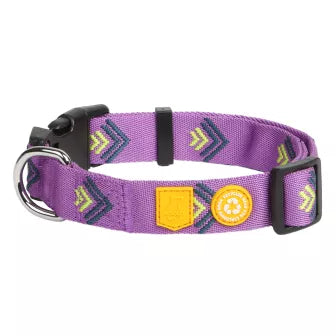 Woolly Wolf Collar Northern Lights