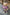 Palopa Dog Bum Bag Emma - Berry - PRE-ORDER