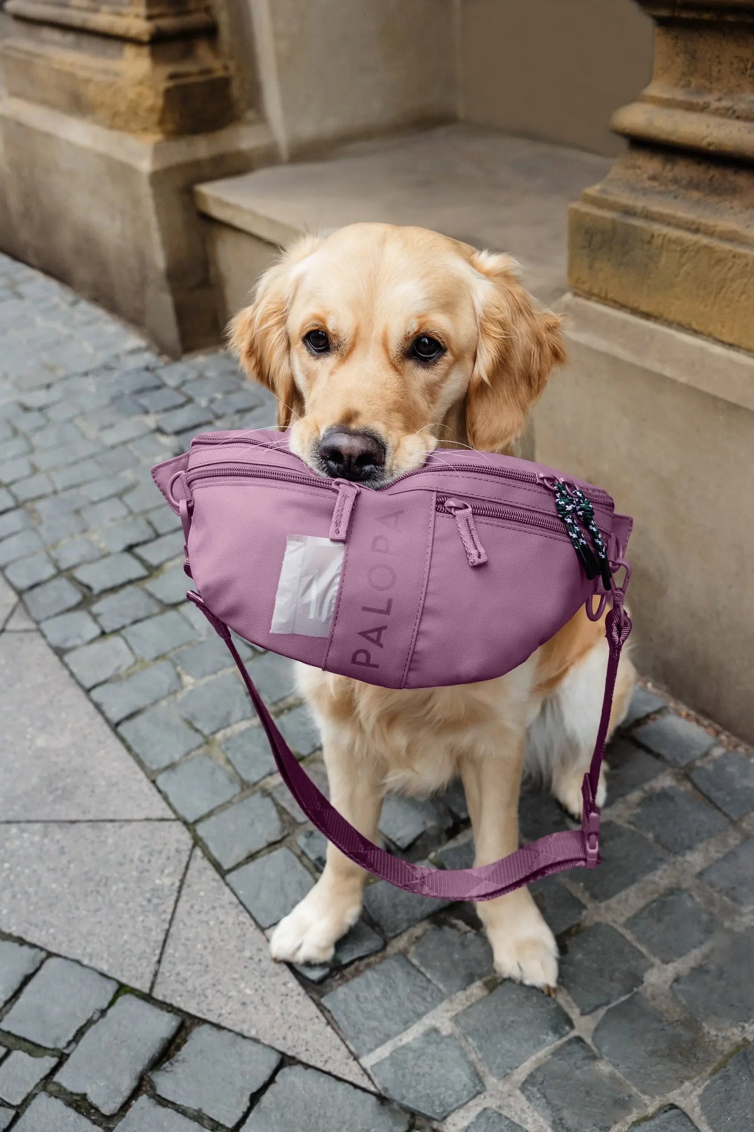 Palopa Dog Bum Bag Emma - Berry - PRE-ORDER