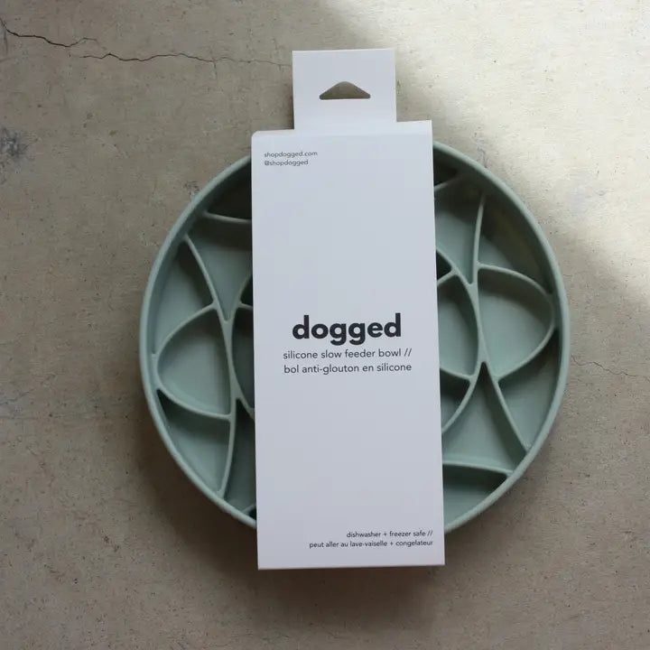 Dogged Seafoam slow feeder bowl Circulo