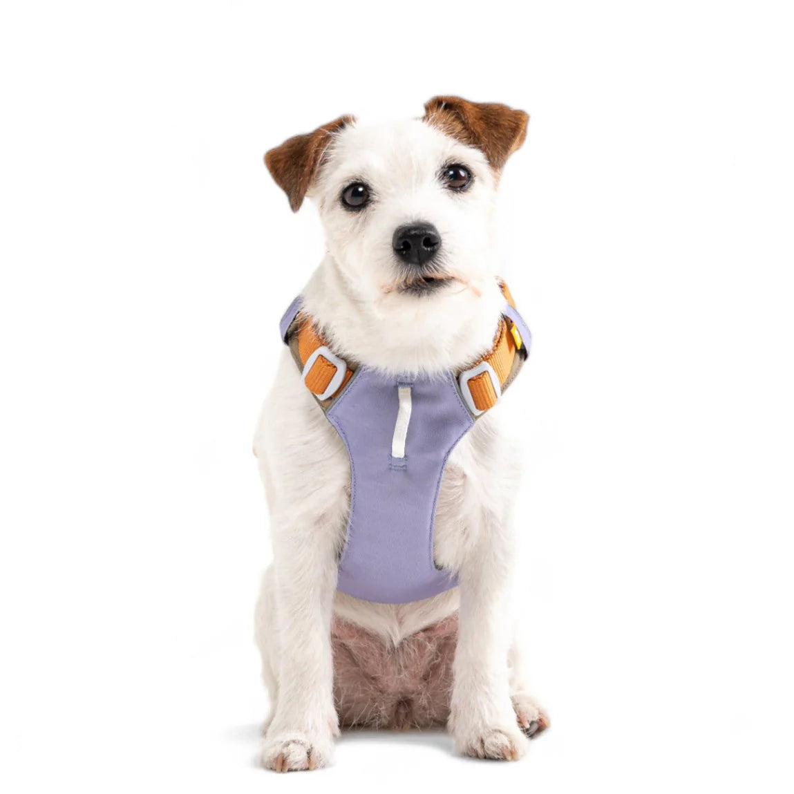 Woolly Wolf Alpha 360 Harness Lavender