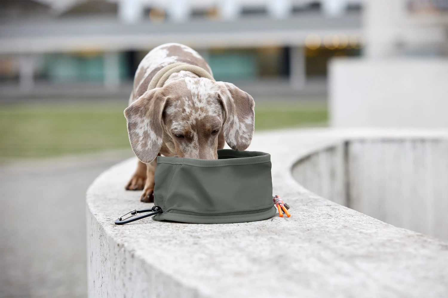 Palopa Bowl To Go - Dark Green - PRE-ORDER