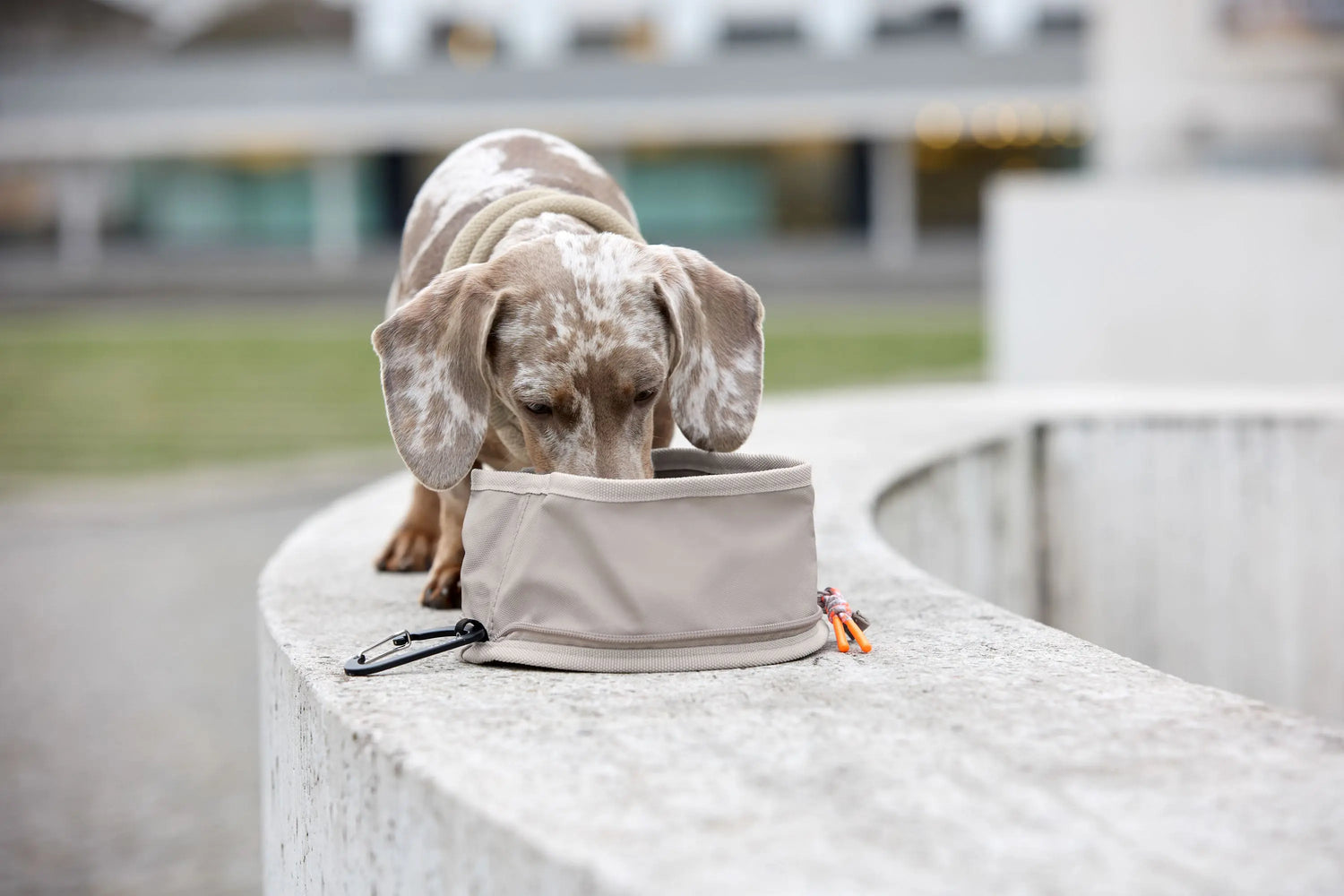 Palopa Bowl To Go - Taupe - PRE-ORDER