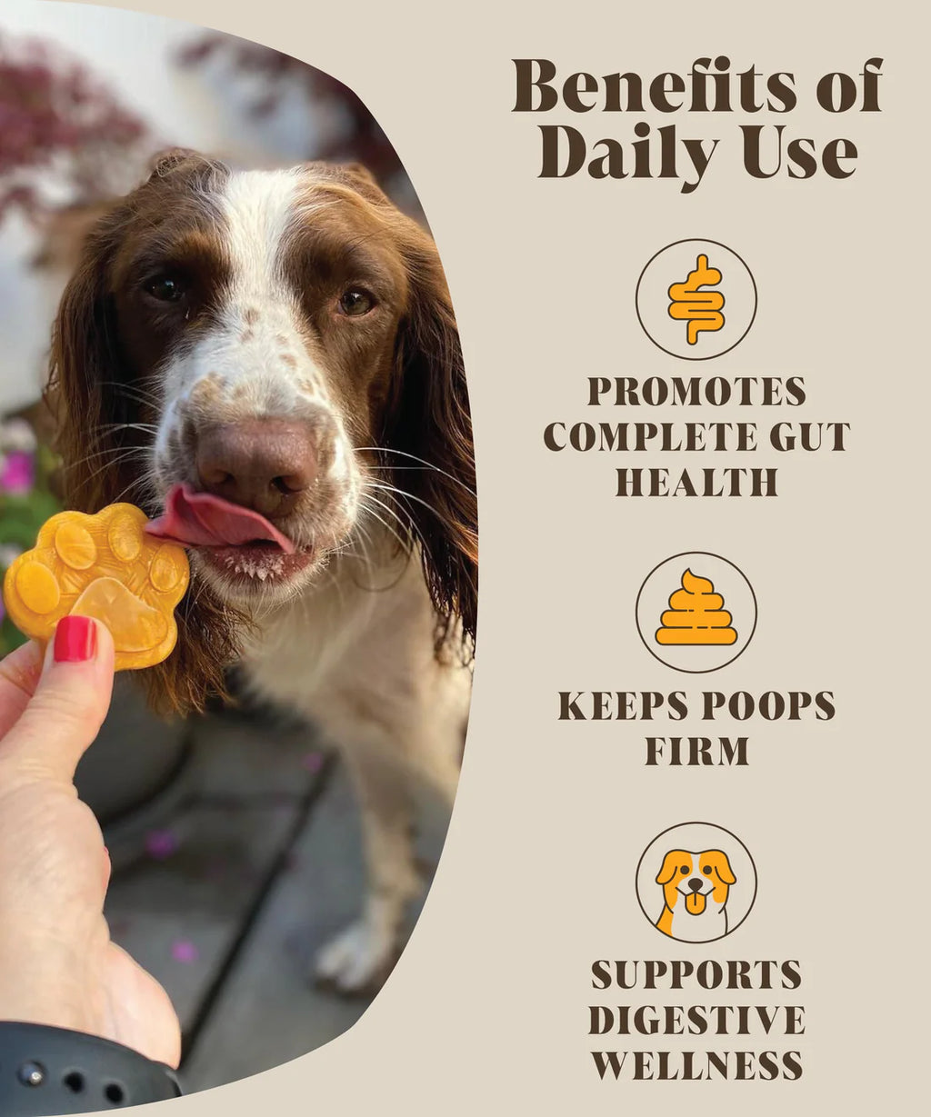 Hackney Dog House Pumpkin & Probiotics