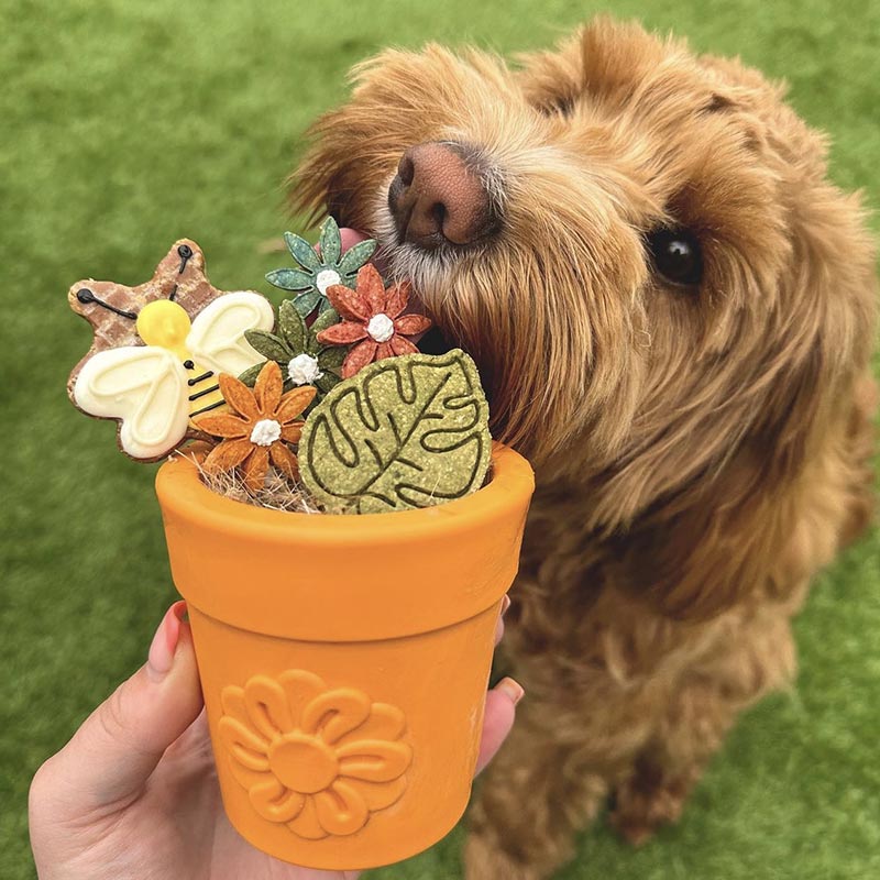 Sodapup Flower Pot Terracotta