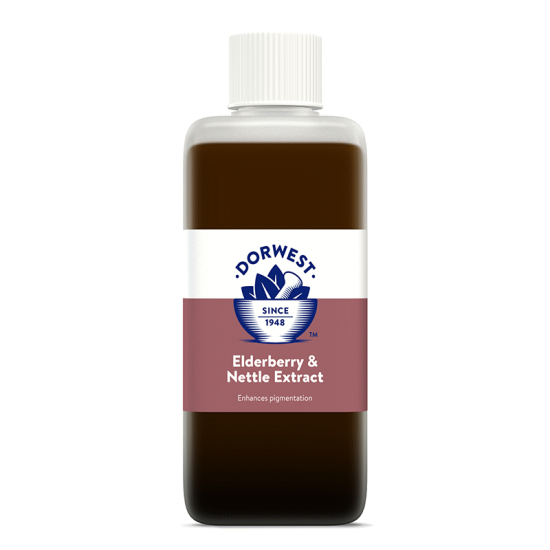 Dorwest Vliernetelextract - Ondersteuning van het pigment -  100ml