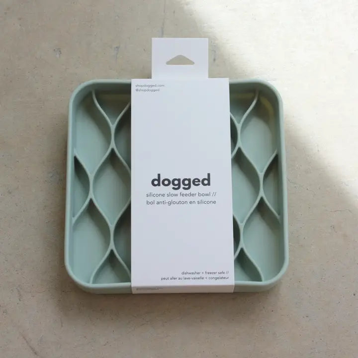 Dogged Seafoam slowfeeder bowl Argyle