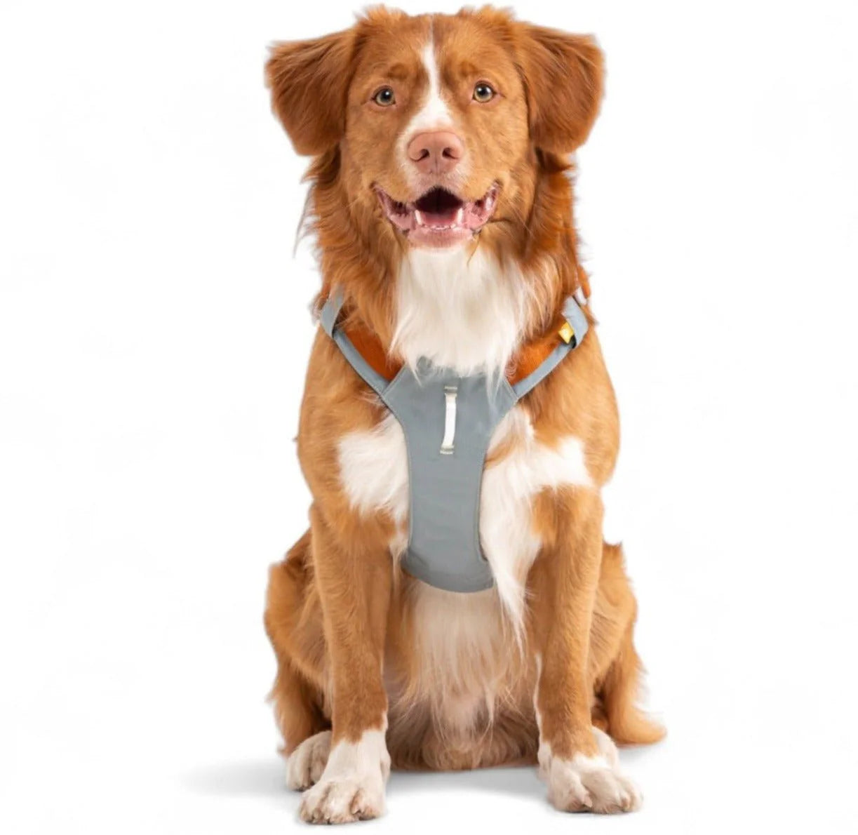 Woolly Wolf Alpha 360 Harness Glacier Green