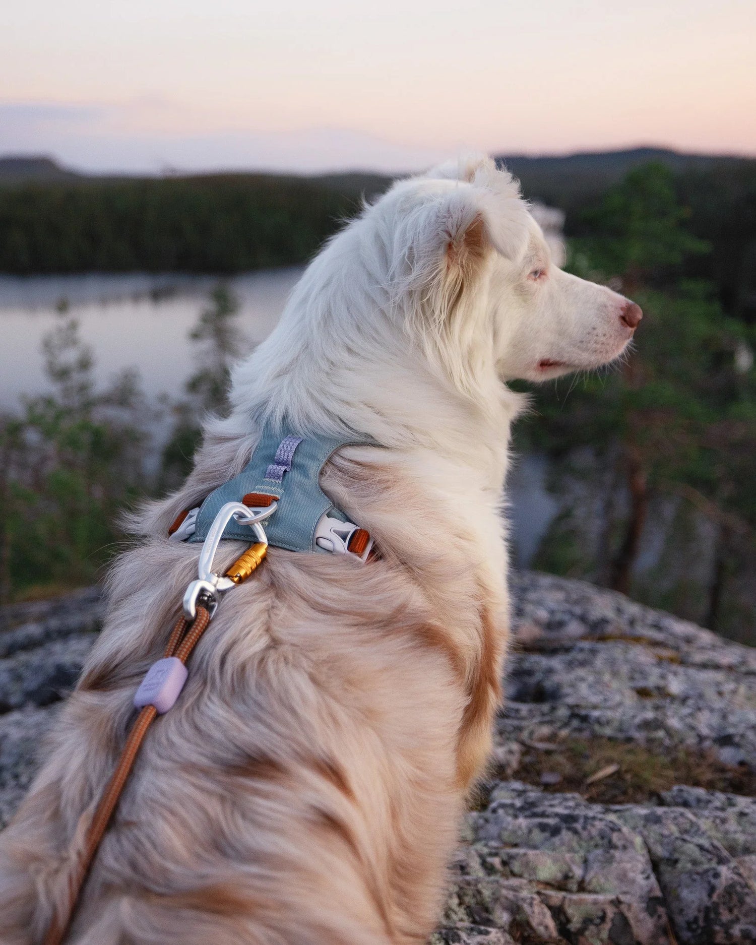Woolly Wolf Alpha 360 Harness Glacier Green