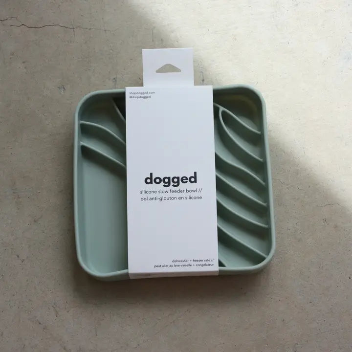 Dogged Seafoam slow feeder bowl Beach