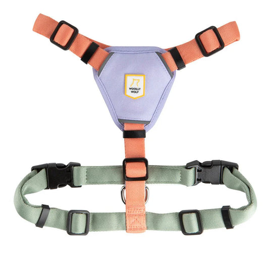 Woolly Wolf Harness Colour Block