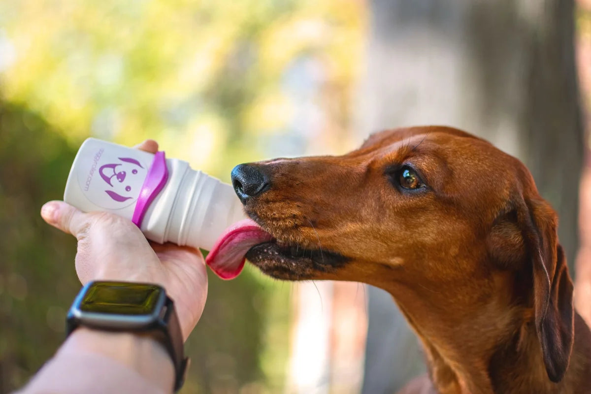 Doggy roller with carabiner pink