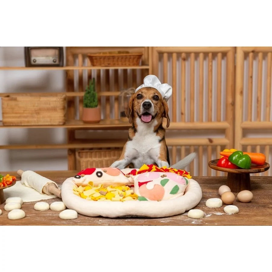 Injoya Pizza Snuffle Mat