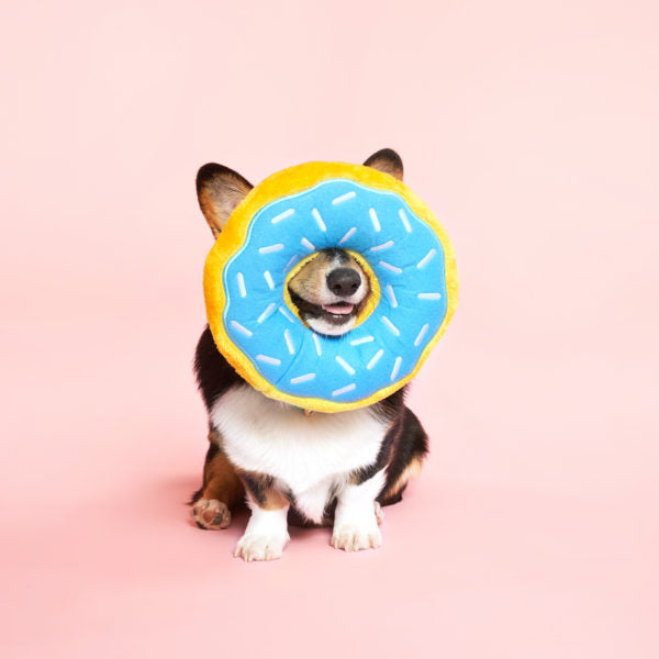 ZippyPaws Donutz Blueberry (regular or large)