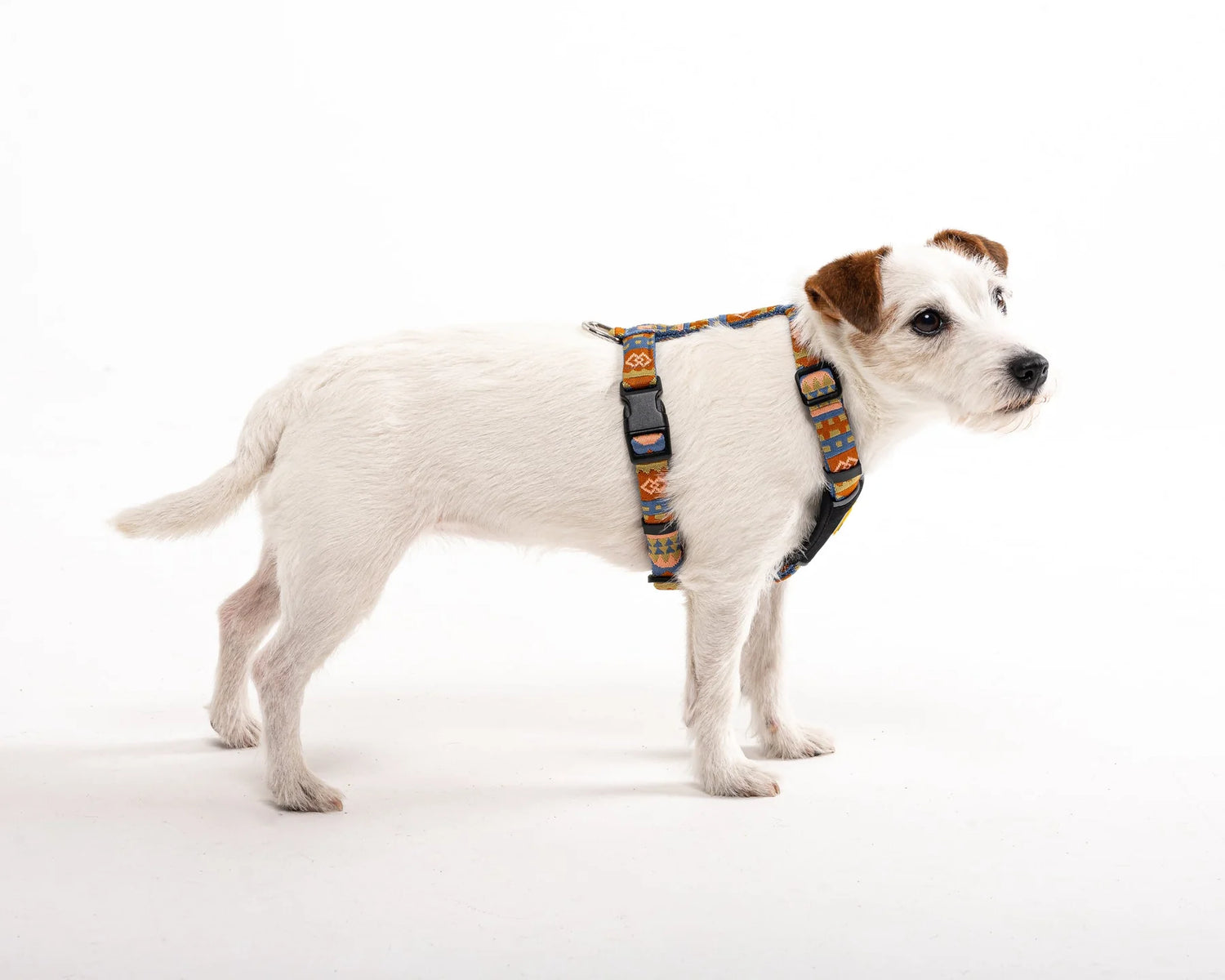 Woolly Wolf Harness Nighless Night