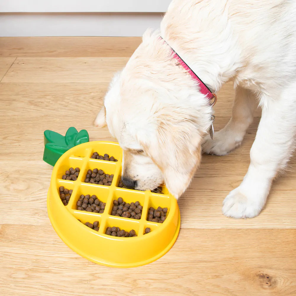 Zippypaws HappyBowl Ananas - mangeoire lente