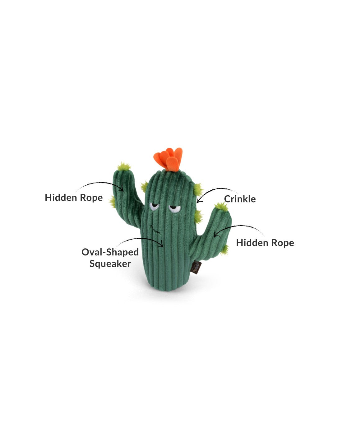 P.L.A.Y Blooming Buddies Prickly pup Cactus