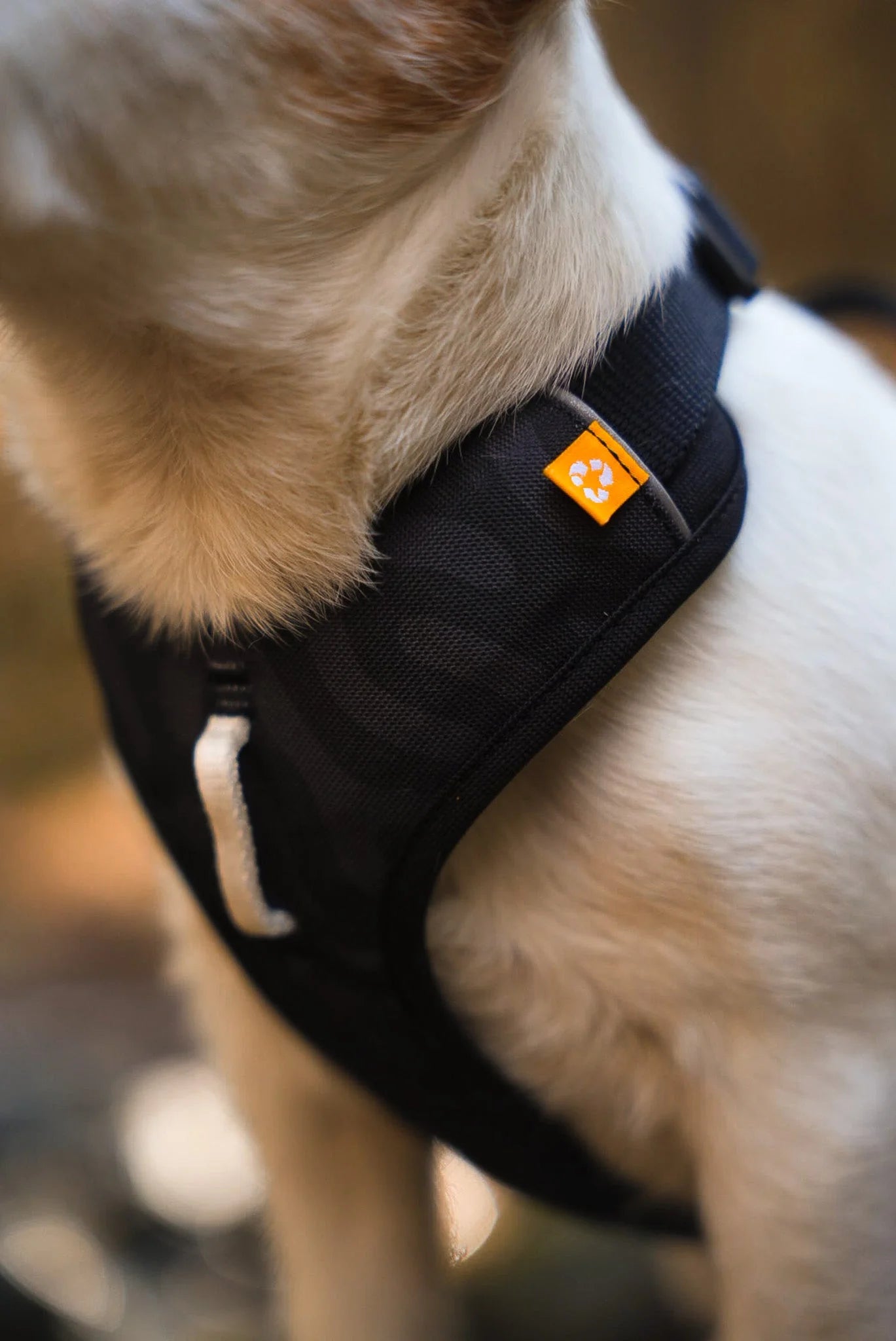 Woolly Wolf Roam Ripple Harness Black