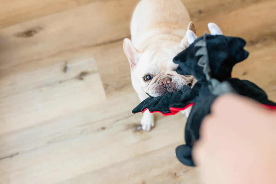 PLAY Willow's Mythical Dog Toy Dragon